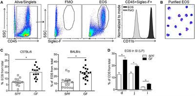 Microbial Regulation of Enteric Eosinophils and Its Impact on Tissue Remodeling and Th2 Immunity